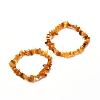 Natural Amber Chip Beads Stretch Bracelets Set for Parent and Kid BJEW-JB06819-1