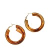 304 Stainless Steel Acrylic Hoop Earrings FS-WG57303-02-2