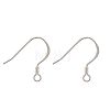 925 Sterling Silver Earring Hooks STER-K167-049D-S-1