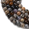 Natural Dendritic Opal Beads Strands G-R494-A23-03A-3