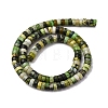 Natural Serpentine Beads Strands G-L624-I16-3x6mm-3