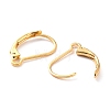 Ion Plating(IP) 304 Stainless Steel Leverback Earring Findings STAS-K233-04G-01-3