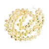 Transparent Glass Beads Strands GLAA-T006-14D-2