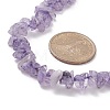 Natural Amethyst Chips Beaded Necklaces NJEW-JN04275-02-2