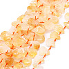 Natural Citrine Beads Strands G-E569-R06-1