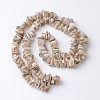 Natural Freshwater Shell Bead Strands X-BSHE-O016-05-2