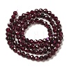 Natural Garnet Beads Strands G-F460-28-01-2