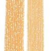 Transparent Glass Beads Strands EGLA-A044-T1mm-MB03-2
