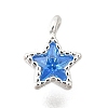 925 Sterling Silver Cubic Zirconia Charms STER-Q005-01B-C-1