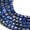 Natural Lapis Lazuli Beads Strands G-E608-B12-3