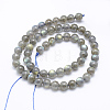 Natural Labradorite Beads Strands G-P336-19-7mm-2