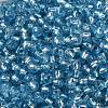 6/0 Glass Seed Beads SEED-T006-04C-06-3