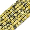Natural Yellow Turquoise(Jasper) Beads Strands G-F797-A23-01-2