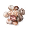 Natural Rutilated Quartz Beads G-G348-01B-32-1