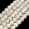 Natural White Moonstone Beads Strands G-L664-A01-10mm-2