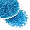 FGB Transparent Glass Seed Beads SEED-N013-01A-05-1