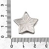 304 Stainless Steel Pendants STAS-Z163-01P-01-3