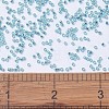 MIYUKI Delica Beads X-SEED-J020-DB1209-4