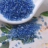 MIYUKI Delica Beads SEED-X0054-DB0177-1