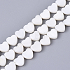 2 Strands Natural Freshwater Shell Beads Strands SHEL-SC0001-85D-6