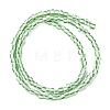 Handmade Lampwork Beads Strands BLOW-K001-01A-18-4
