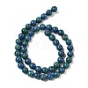 Natural Sesame Jasper/Kiwi Jasper Beads Strands G-L614-A01-01-3