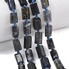 Natural Iolite Beads Strands G-C270-K06-1
