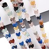 Natural Mixed Gemstone Beads Strands G-T143-32-1