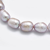 Natural Cultured Freshwater Pearl Beads Strands PEAR-F007-85B-01A-3
