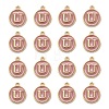 Golden Plated Alloy Enamel Charms LS-ENAM-S118-07U-2