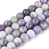 Opaque Ombre Effect Dyed Glass Beads Strands GLAA-Q106-04A-13-1