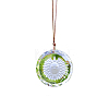 Sun Glass Hanging Suncatchers PW-WG19C70-01-1