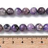 Natural Charoite Beads Strands G-C270-O02-05-5