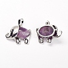 Natural Amethyst Pendants G-G713-E12-2