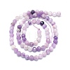 Natural Lepidolite/Purple Mica Stone Beads Strands G-P457-A04-01-3