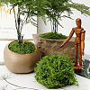 Polyester Artificial Moss DIY-CN0003-92A-6