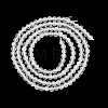 Natural Rainbow Moonstone Beads Strands G-G189-D20-02-3