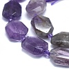 Natural Amethyst Beads Strands G-O179-F14-3