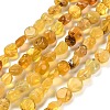 Natural Yellow Opal Beads Strands G-P497-01E-34B-1