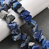 Natural Lapis Lazuli Beads Strands G-I283-F21-1