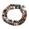 Natural Ocean Agate/Ocean Jasper Beads Strands G-C259-A32-5x8mm-5