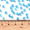 Baking Paint Glass Seed Beads SEED-H002-I-B504-4