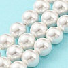 Electroplated Shell Pearl Beads Strands SHEL-F008-03B-01-2