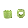 Cylinder Seed Beads SEED-H001-H16-4
