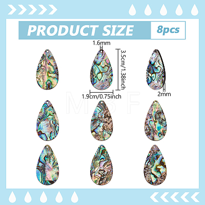 8Pcs Natural Paua Shell/Abalone Shell Pendants SHEL-BC0001-048B-1