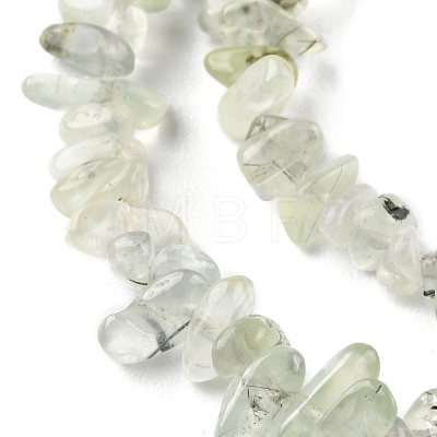 Natural Prehnite Beads Strands G-G0003-B12-1