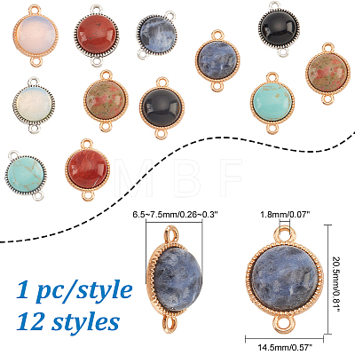 12Pcs 12 Styles Gemstone Connector Charms PALLOY-AB00052-1