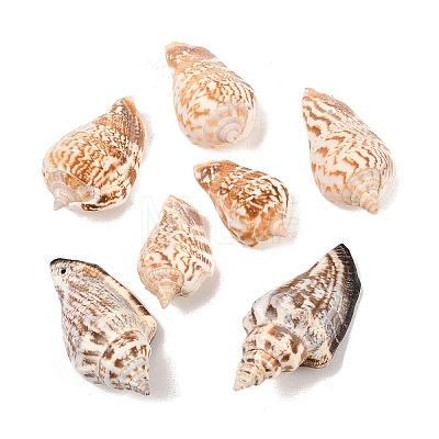 Natural Conch Shell Beads BSHE-O007-57-1