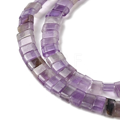 Natural Amethyst Beads Strands G-Z045-A13-01-1