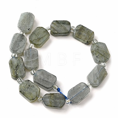 Natural Labradorite Beads Strands G-C098-A05-01-1